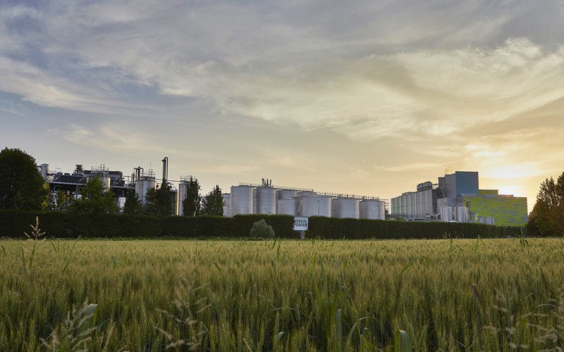 Cereal Docks Food è Golden Supplier Ecovadis