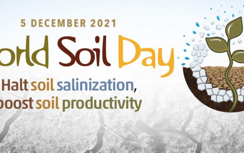 THE IMPORTANCE OF SOIL IN THE AGRI-FOOD CHAINS